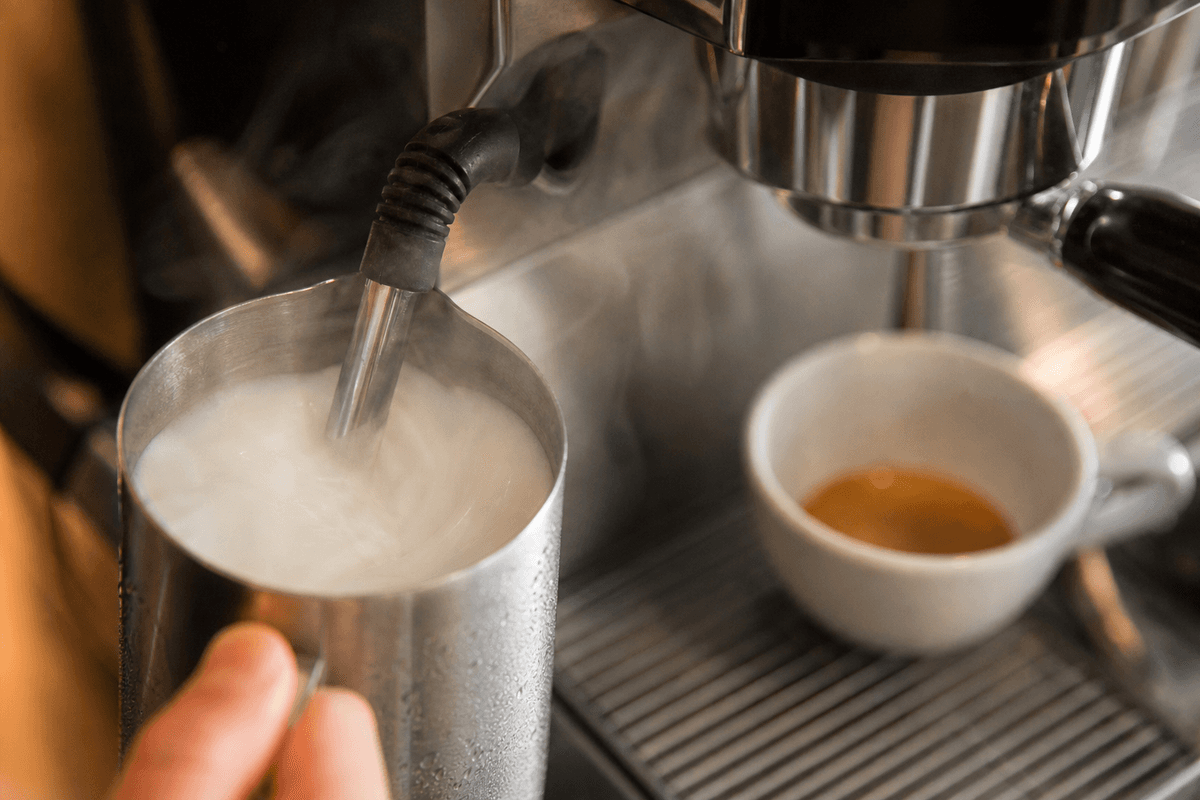 Milk frothing capability and results