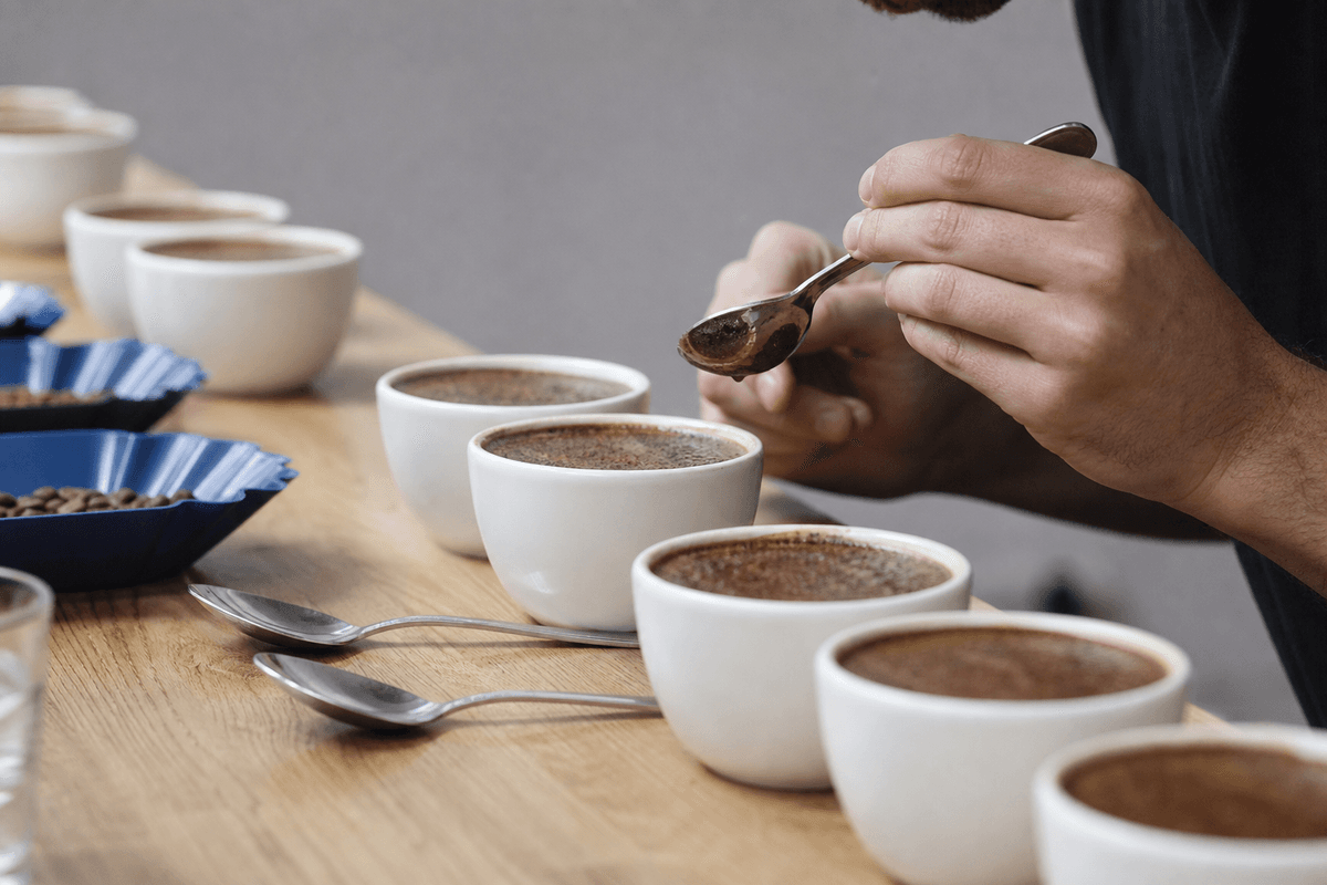 Coffee cupping as an expert tasting method to evaluate specialty coffee.